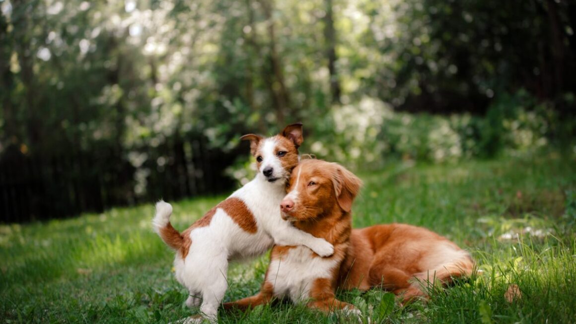 Best Pets For Children