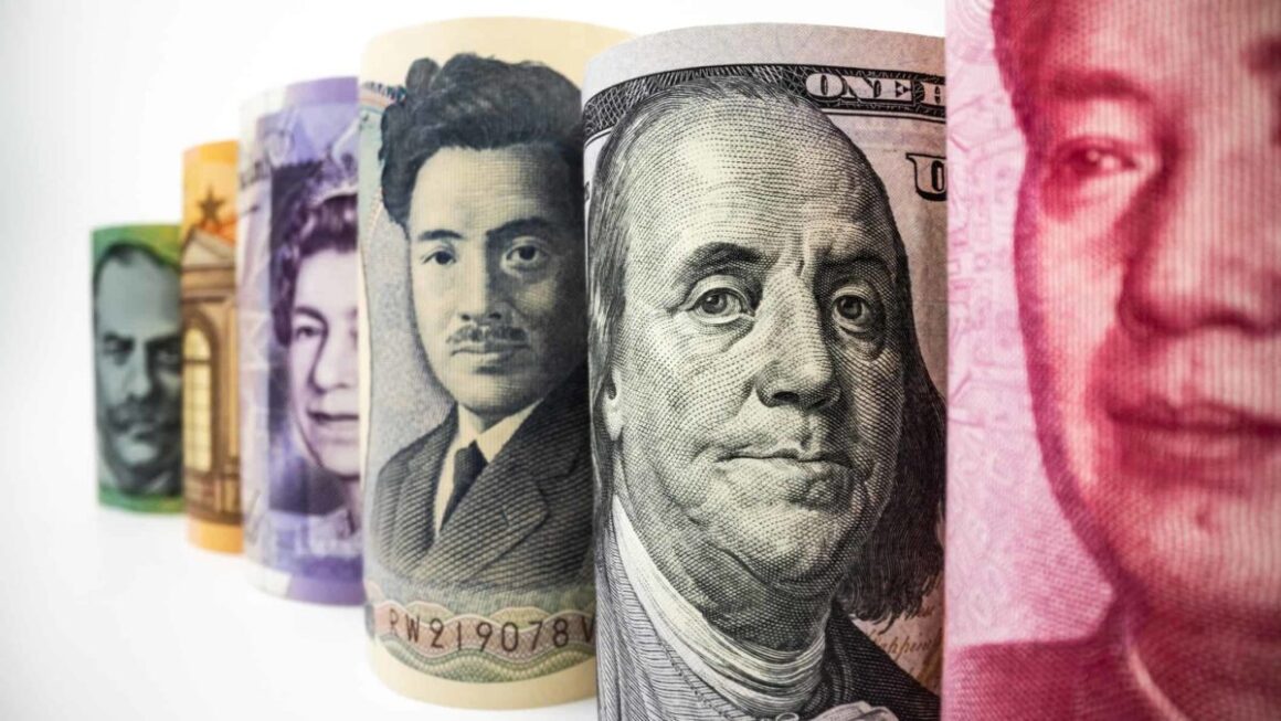 Cash Should an Investor Have