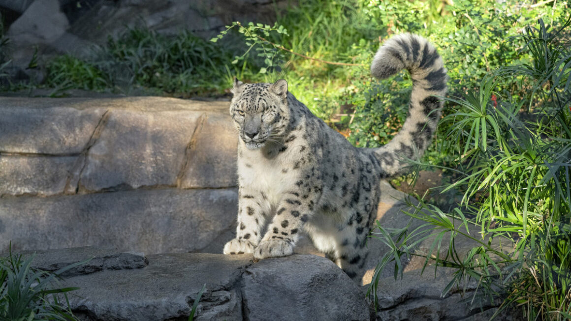 How to work in a zoo